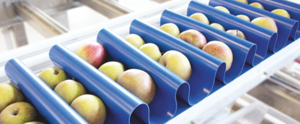 Ленты для кассовых боксов в Алматы. Запчасти, ленты / полотно, ремни, подшипники, пищевая смазка, цепи, шкивы, звездочки, трансмиссия для тестораскаточных и тестоделительных машин. Пищевая транспортерная лента HABASIT: тканевая, монолитная, пластиковая, модульная, пластинчатая лента, а также пластиковые цепи и направляющие - купить в Алматы, в Казахстане. Производство транспортерных лент для тестораскаток и тестоделителей в Алматы. Подбор аналогов материала транспортерной ленты. Доставка по Казахстнау.